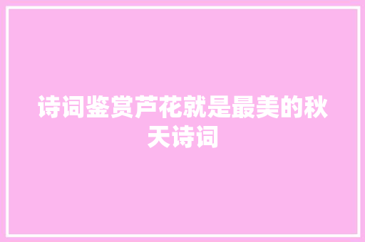 诗词鉴赏芦花就是最美的秋天诗词