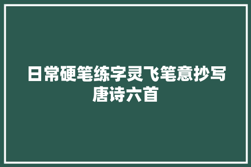日常硬笔练字灵飞笔意抄写唐诗六首