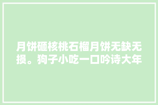 月饼砸核桃石榴月饼无缺无损。狗子小吃一口吟诗大年夜骂主人。