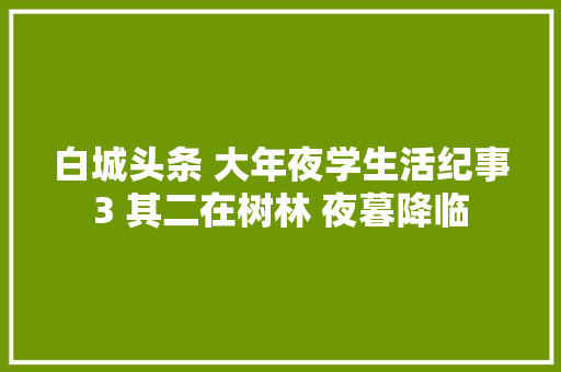 白城头条 大年夜学生活纪事3 其二在树林 夜暮降临