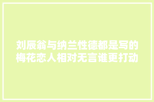 刘辰翁与纳兰性德都是写的梅花恋人相对无言谁更打动人