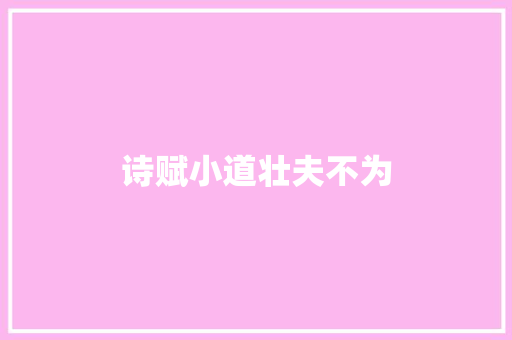 诗赋小道壮夫不为