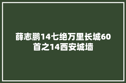 薛志鹏14七绝万里长城60首之14西安城墙