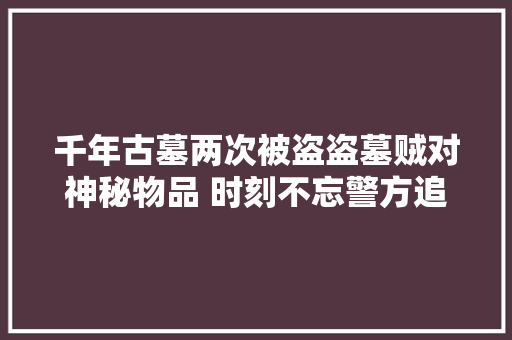 千年古墓两次被盗盗墓贼对神秘物品 时刻不忘警方追回国宝