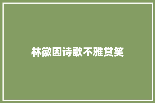 林徽因诗歌不雅赏笑
