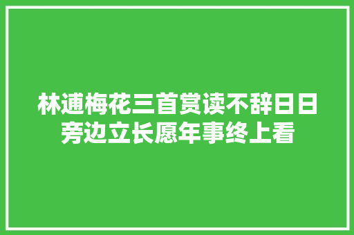 林逋梅花三首赏读不辞日日旁边立长愿年事终上看