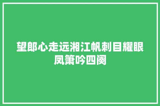 望郎心走远湘江帆刺目耀眼凤箫吟四阕