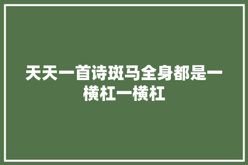 天天一首诗斑马全身都是一横杠一横杠