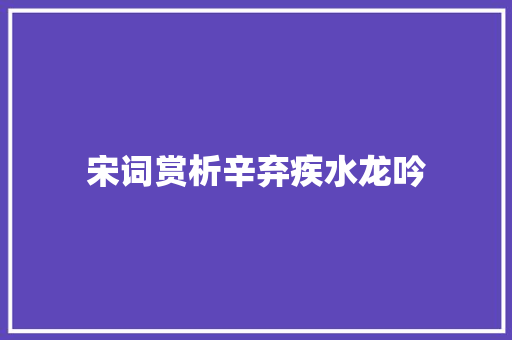 宋词赏析辛弃疾水龙吟