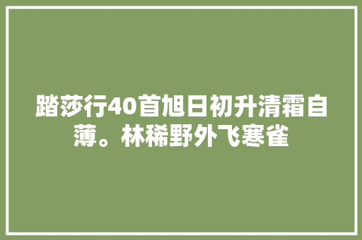 踏莎行40首旭日初升清霜自薄。林稀野外飞寒雀