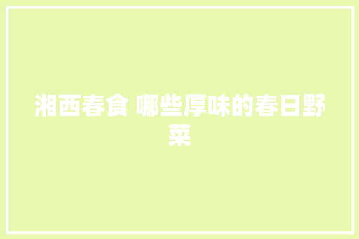 湘西春食 哪些厚味的春日野菜