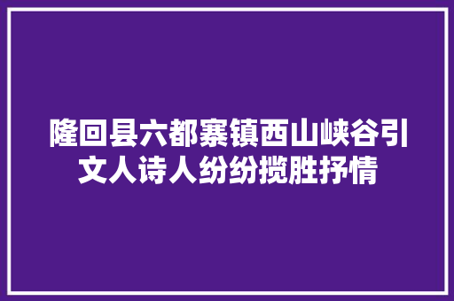 隆回县六都寨镇西山峡谷引文人诗人纷纷揽胜抒情