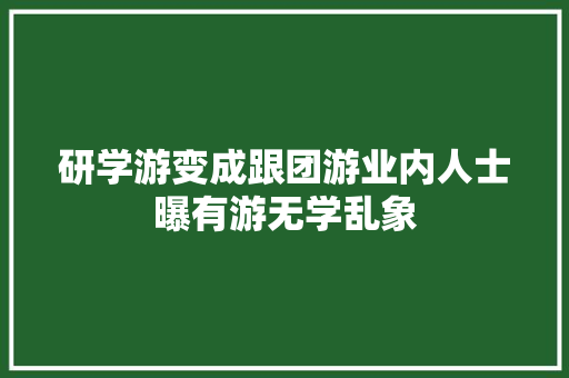 研学游变成跟团游业内人士曝有游无学乱象