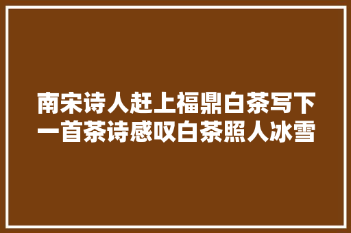 南宋诗人赶上福鼎白茶写下一首茶诗感叹白茶照人冰雪同