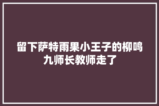 留下萨特雨果小王子的柳鸣九师长教师走了