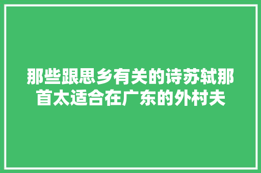 那些跟思乡有关的诗苏轼那首太适合在广东的外村夫