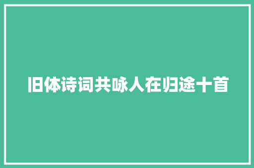 旧体诗词共咏人在归途十首