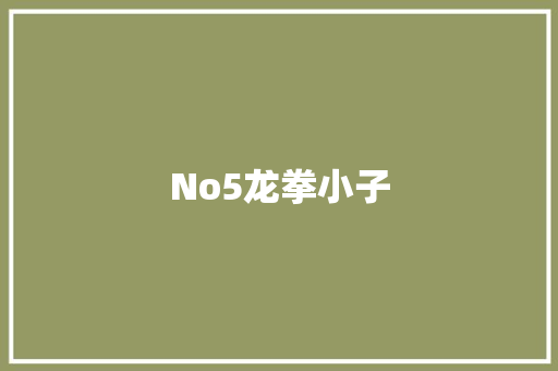 No5龙拳小子