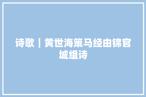 诗歌｜黄世海策马经由锦官城组诗
