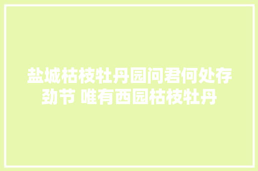 盐城枯枝牡丹园问君何处存劲节 唯有西园枯枝牡丹