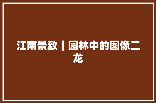 江南景致｜园林中的图像二龙