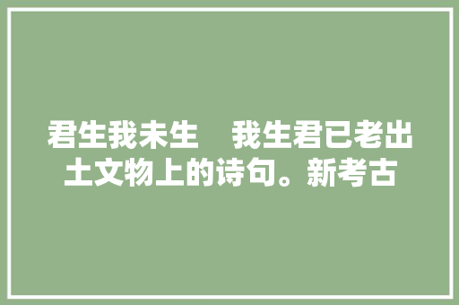 君生我未生    我生君已老出土文物上的诗句。新考古