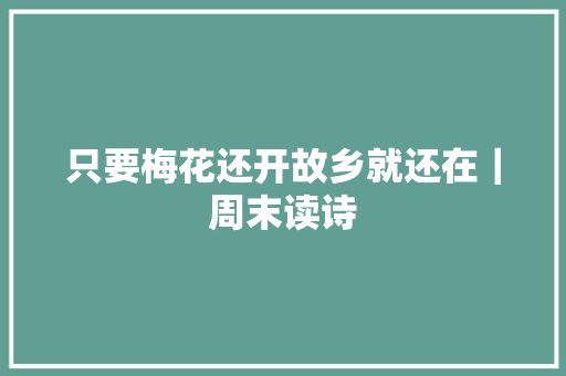 只要梅花还开故乡就还在｜周末读诗