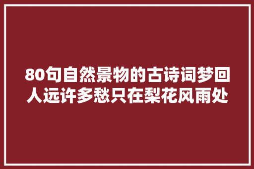 80句自然景物的古诗词梦回人远许多愁只在梨花风雨处