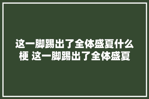 这一脚踢出了全体盛夏什么梗 这一脚踢出了全体盛夏出自哪里