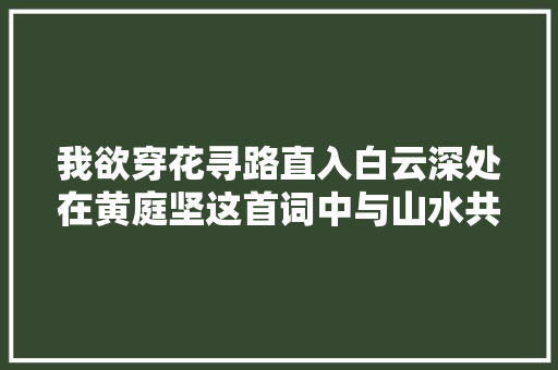 我欲穿花寻路直入白云深处在黄庭坚这首词中与山水共清欢