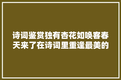 诗词鉴赏独有杏花如唤客春天来了在诗词里重逢最美的杏花