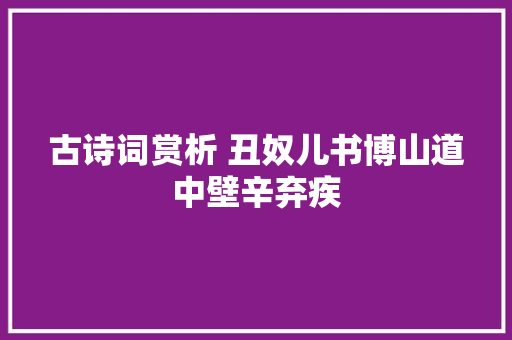 古诗词赏析 丑奴儿书博山道中壁辛弃疾