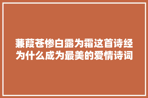 蒹葭苍惨白露为霜这首诗经为什么成为最美的爱情诗词