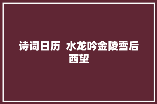诗词日历  水龙吟金陵雪后西望