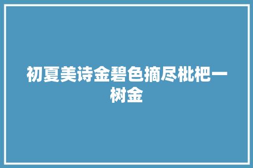 初夏美诗金碧色摘尽枇杷一树金