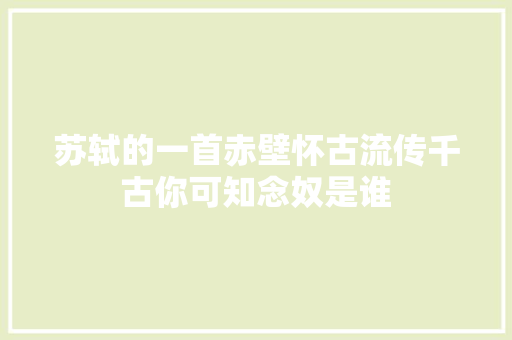 苏轼的一首赤壁怀古流传千古你可知念奴是谁