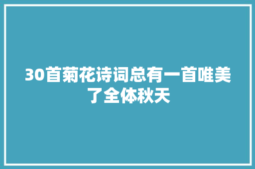 30首菊花诗词总有一首唯美了全体秋天