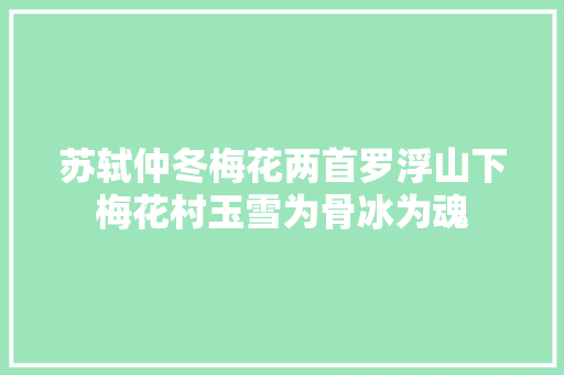 苏轼仲冬梅花两首罗浮山下梅花村玉雪为骨冰为魂