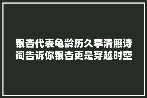 银杏代表龟龄历久李清照诗词告诉你银杏更是穿越时空的爱之信物