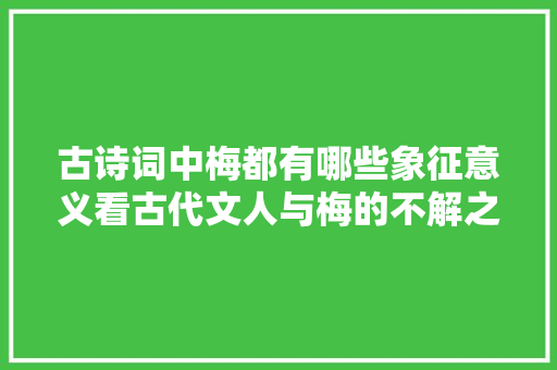 古诗词中梅都有哪些象征意义看古代文人与梅的不解之缘