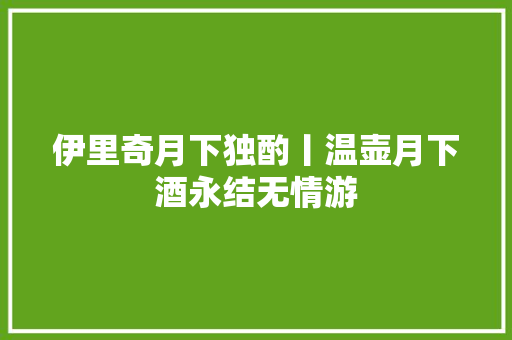 伊里奇月下独酌丨温壶月下酒永结无情游