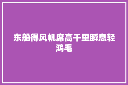 东船得风帆席高千里瞬息轻鸿毛