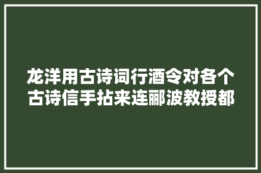 龙洋用古诗词行酒令对各个古诗信手拈来连郦波教授都甘拜下风