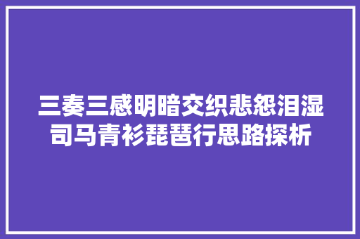 三奏三感明暗交织悲怨泪湿司马青衫琵琶行思路探析