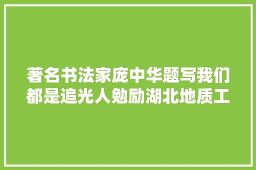 著名书法家庞中华题写我们都是追光人勉励湖北地质工作者
