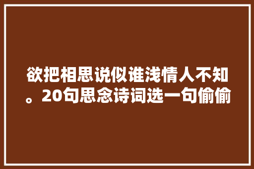 欲把相思说似谁浅情人不知。20句思念诗词选一句偷偷写给她