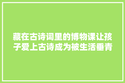 藏在古诗词里的博物课让孩子爱上古诗成为被生活垂青的人