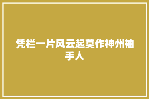 凭栏一片风云起莫作神州袖手人