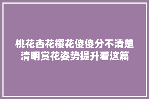 桃花杏花樱花傻傻分不清楚清明赏花姿势提升看这篇
