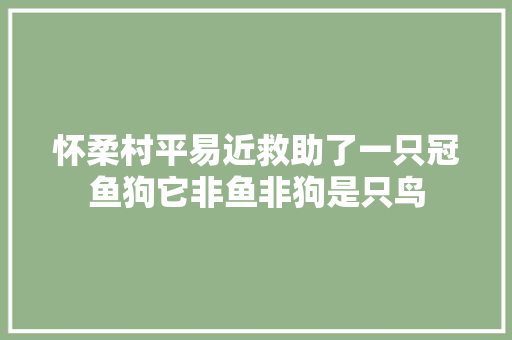 怀柔村平易近救助了一只冠鱼狗它非鱼非狗是只鸟